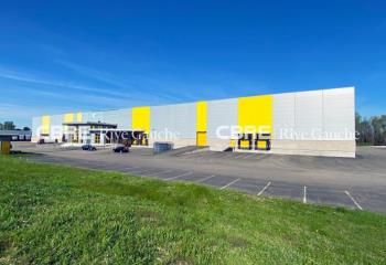 Location entrepôt Herrlisheim - Accès A35/A4 et gare TER