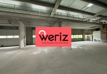 Location local industriel La Ciotat - ZI Athélia II proche A50