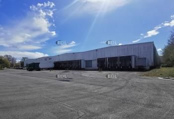 Location entrepôt Noyelles-lès-Seclin - Proximité A1 et Lille