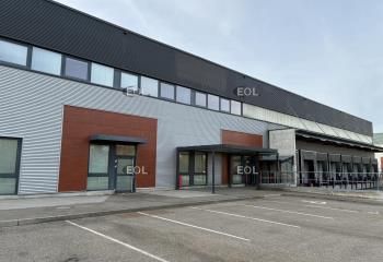 Location entrepôt Strasbourg - 32 accès PL - Disponibilité immédiate