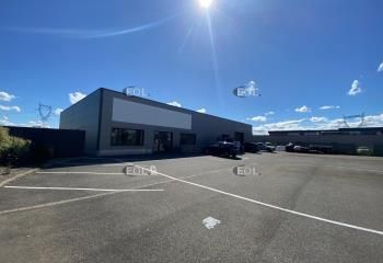 Local d'activité à louer Sainte-Croix-en-Plaine - ZI