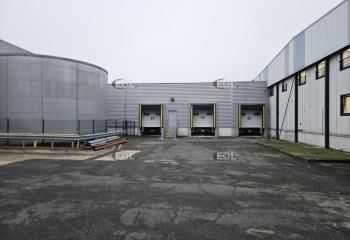 Location entrepôt frigorifique Thiais - Zone SENIA - Proche MIN Rungis