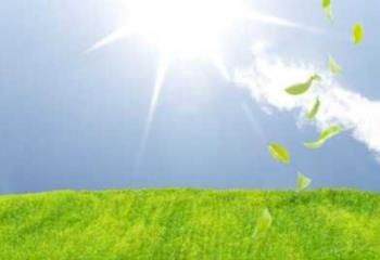 Terrain à vendre Mérignac - accès bus et autoroute