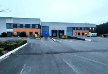 Local d'activité à louer Saint-André-lez-Lille - Accès rocade Nord-Ouest