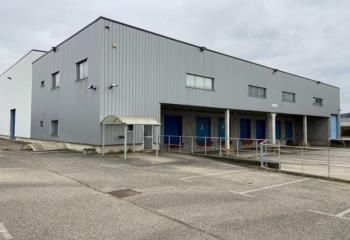 Location entrepôt Saint-Quentin-Fallavier - Proche A43 et aéroport