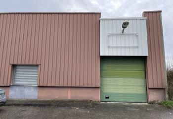 Local d'activité à louer Bron - Parc du Chêne - Accès tramway T2