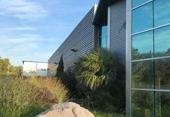 Local d'activité à louer La Valentine - Marseille 11 - Proche A50