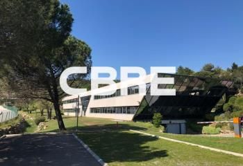 Location bureaux Sophia Antipolis - Proche autoroute A8 et aéroport