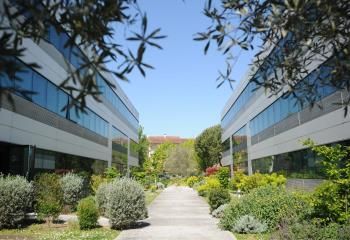 Location bureaux Toulouse Parc de la Plaine - Proche rocade Est, bus et future station de métro
