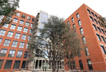 Bureaux à louer Toulouse - Écoquartier Guillaumet - Métro Roseraie