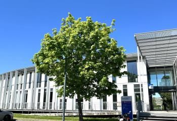 Location bureaux Toulouse Oncopole - Proche téléphérique et gare