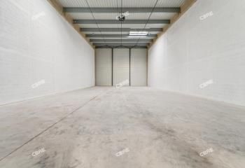 Location entrepôt Conflans-Sainte-Honorine - Proche N184 et RER