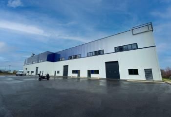 Location entrepôt Chilly-Mazarin - Proche A6/A10 et N20