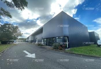 Location local d'activité Geispolsheim - Proche autoroutes et parking privé