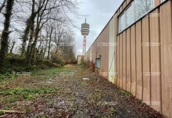 Entrepôt à vendre Villeneuve-d'Ascq - Boulevard de l'Ouest