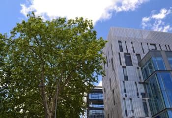 Location bureaux Rouen - Proche A150, gare SNCF et transports