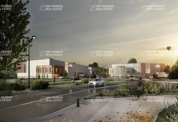 Local d'activité à louer Douvrin - Parc des industries Artois Flandres