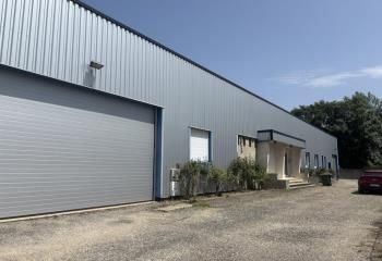 Bâtiment d'activité à vendre Saint-Étienne - Proximité RN88 et D201