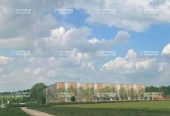 Location local d'activité Isles-sur-Suippe - Projet de développement