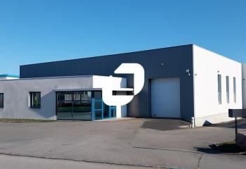 Local d'activités à louer Thouaré-sur-Loire - Proche route de Paris