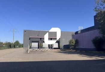 Location entrepôt Illkirch-Graffenstaden - Proximité A35 et Strasbourg