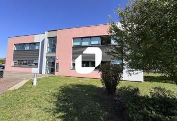 Location locaux d'activité et bureaux Bischoffsheim - Proche A35