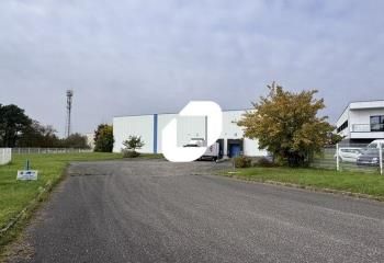 Location entrepôt Brumath - Proche autoroute A4 et gare