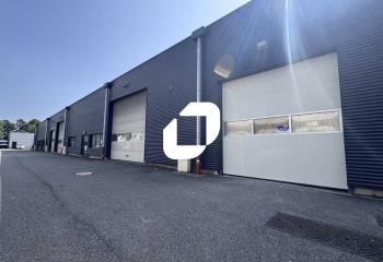 Locaux d'activité à vendre Bischheim - Proximité A35 et A4