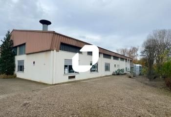 Locaux d'activité à vendre Wolfisheim - Proche A35 et tram