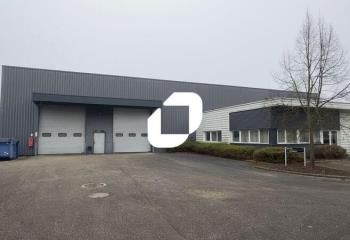 Local d'activité à louer Illkirch-Graffenstaden - Proche A35 et tram