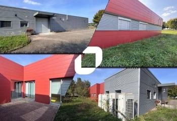 Vente bureaux Erstein - Proche gare et autoroute A35