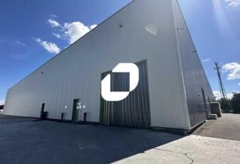 Location cellules d'activités Brumath - Proche A4 et gare SNCF