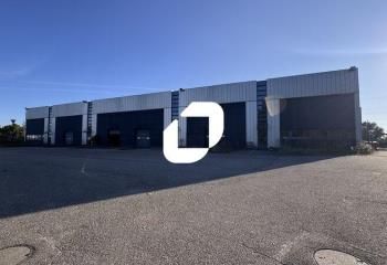 Location local d'activité Mundolsheim - Proche A4