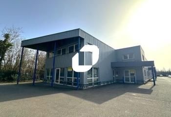 Location local d'activité Geispolsheim - Showroom face à Noz et Rexel