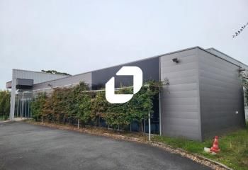 Vente local d'activité Villenave-d'Ornon - Proche rocade et transports