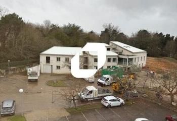 Local d'activité à louer Artigues-près-Bordeaux - Proche N89