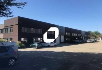 Location local d'activité Dardilly - Proximité autoroute A6