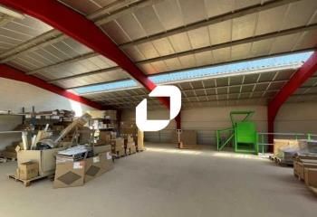 Local d'activité à louer Marcq-en-Baroeul - Proche autoroutes et métro