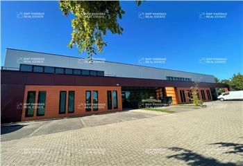 Location bureaux Schiltigheim - Proche bus et cadre verdoyant