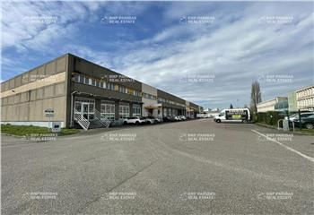 Location local d'activité Strasbourg - ZI Meinau