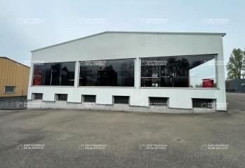 Location local d'activité Illkirch-Graffenstaden