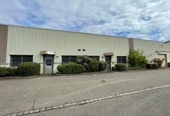 Location local d'activité Schiltigheim - Proche Strasbourg