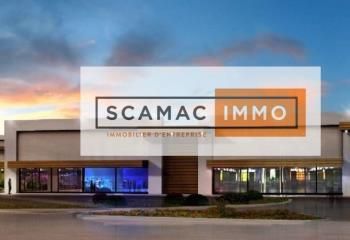 Local commercial à louer Vert-Saint-Denis - Proche Melun