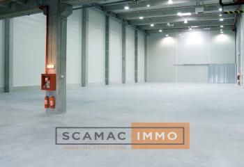 Local d'activité à louer Bondoufle - Proche N104 et A6