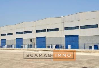 Location entrepôt Corbas - ZAC pôle agroalimentaire