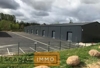 Local d'activité à louer Bruyères-le-Châtel - Proche A10 et N20