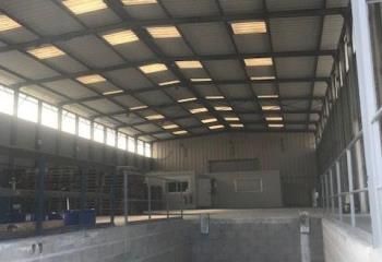 Location entrepôt Saint-Germain-lès-Arpajon - Proche N20 et A6