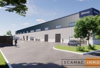 Local d'activité à louer Wissous - Proximité échangeurs A86/A6/A10/A104