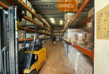 Locaux mixtes à vendre Savigny-le-Temple - Proximité A5 et N104