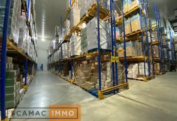 Entrepôt frigorifique à louer Lieusaint - Proche N104 et RER D